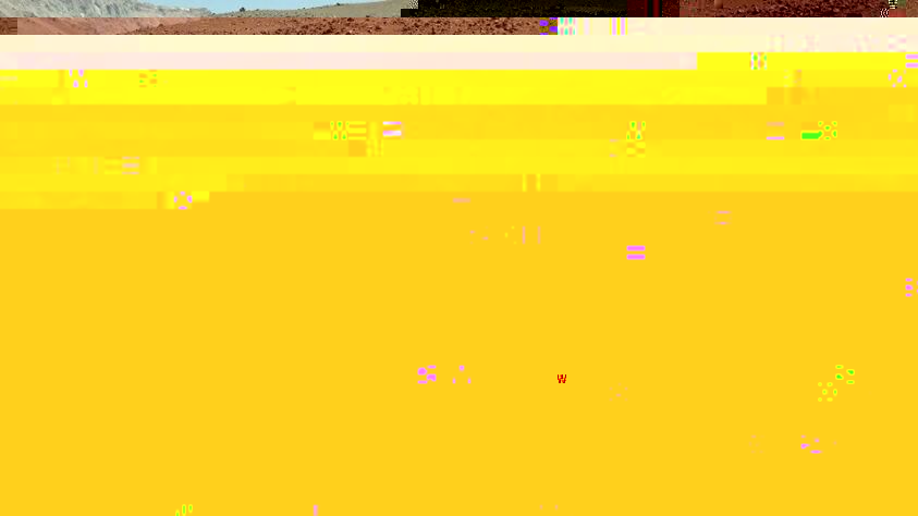 IMG_31257423288981.jpeg